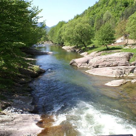 Семеен Хотел Федора รีบาริตซา ภายนอก รูปภาพ